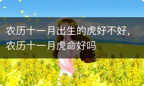 农历十一月出生的虎好不好，农历十一月虎命好吗