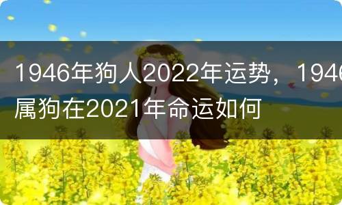 1946年狗人2022年运势，1946属狗在2021年命运如何
