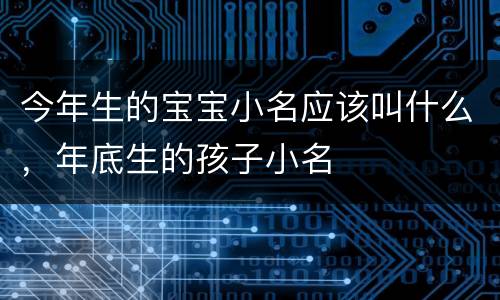 今年生的宝宝小名应该叫什么，年底生的孩子小名
