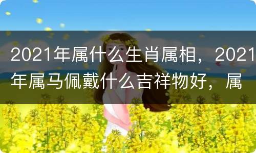 2021年属什么生肖属相，2021年属马佩戴什么吉祥物好，属