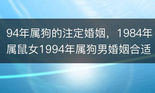 94年属狗的注定婚姻，1984年属鼠女1994年属狗男婚姻合适吗？