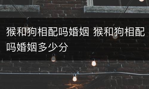 猴和狗相配吗婚姻 猴和狗相配吗婚姻多少分