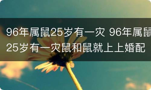 96年属鼠25岁有一灾 96年属鼠25岁有一灾鼠和鼠就上上婚配吗?