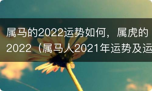 属马的2022运势如何，属虎的2022（属马人2021年运势及运程每月运程属虎）