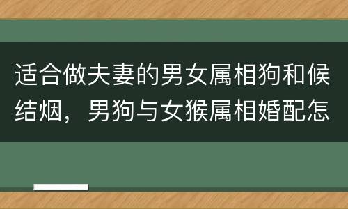 适合做夫妻的男女属相狗和候结烟，男狗与女猴属相婚配怎样