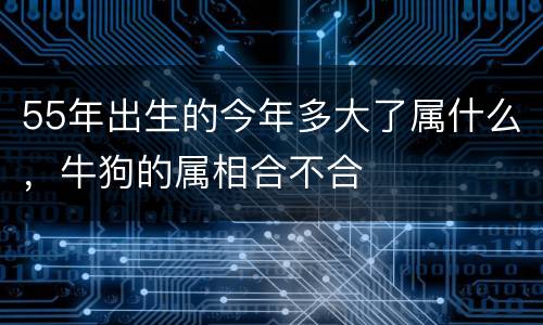 55年出生的今年多大了属什么，牛狗的属相合不合