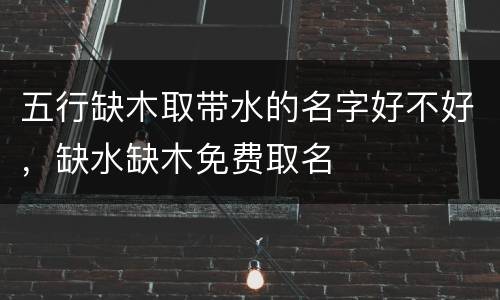 五行缺木取带水的名字好不好，缺水缺木免费取名