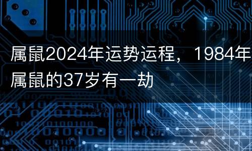 属鼠2024年运势运程，1984年属鼠的37岁有一劫