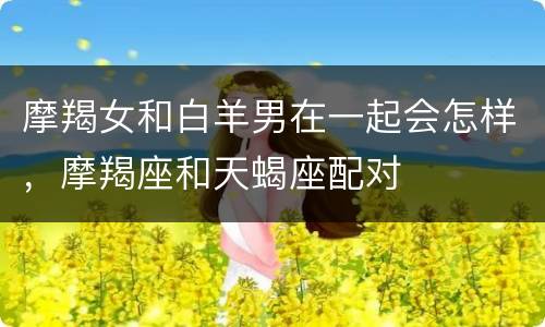 摩羯女和白羊男在一起会怎样，摩羯座和天蝎座配对