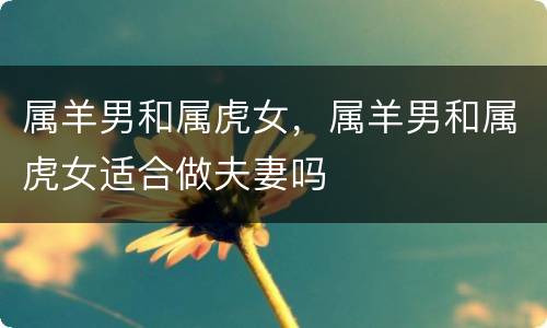 属羊男和属虎女，属羊男和属虎女适合做夫妻吗