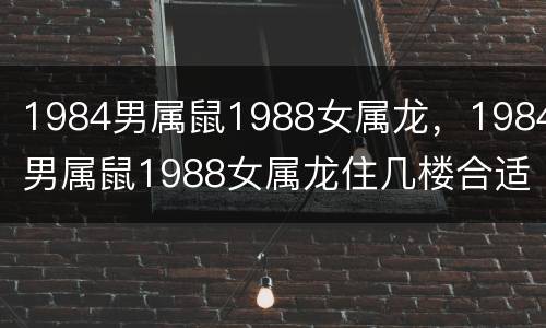 1984男属鼠1988女属龙，1984男属鼠1988女属龙住几楼合适