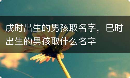 戌时出生的男孩取名字，巳时出生的男孩取什么名字