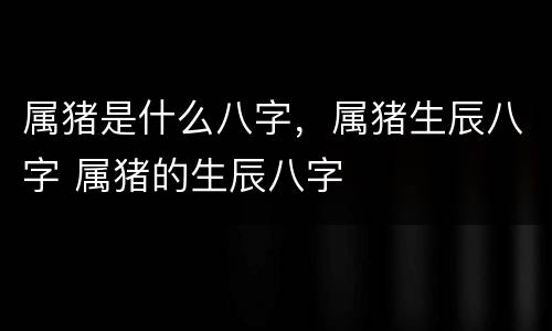 属猪是什么八字，属猪生辰八字 属猪的生辰八字