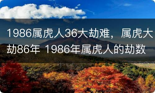 1986属虎人36大劫难，属虎大劫86年 1986年属虎人的劫数