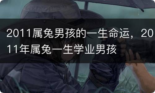 2011属兔男孩的一生命运，2011年属兔一生学业男孩