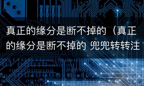 真正的缘分是断不掉的（真正的缘分是断不掉的 兜兜转转注定还在一起真实故事）