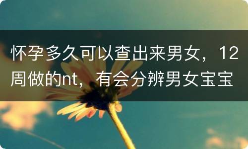 怀孕多久可以查出来男女，12周做的nt，有会分辨男女宝宝的帮我看下可以