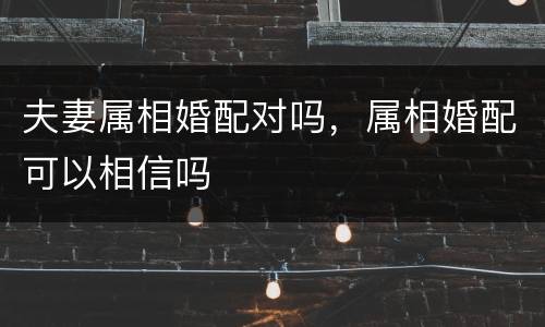 夫妻属相婚配对吗，属相婚配可以相信吗