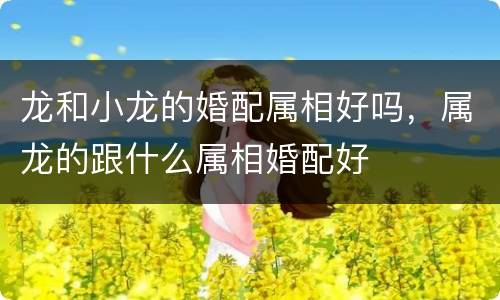 龙和小龙的婚配属相好吗，属龙的跟什么属相婚配好