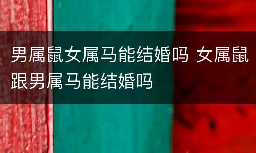 男属鼠女属马能结婚吗 女属鼠跟男属马能结婚吗