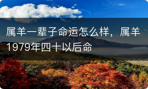 属羊一辈子命运怎么样，属羊1979年四十以后命