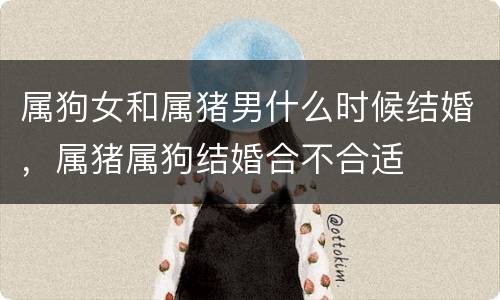属狗女和属猪男什么时候结婚，属猪属狗结婚合不合适