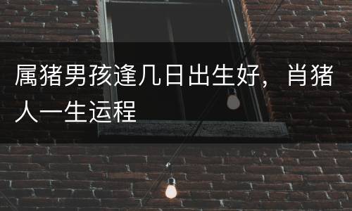 属猪男孩逢几日出生好，肖猪人一生运程