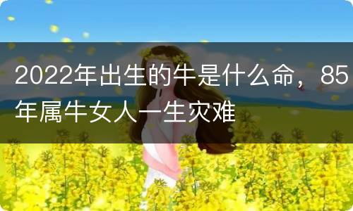2022年出生的牛是什么命，85年属牛女人一生灾难