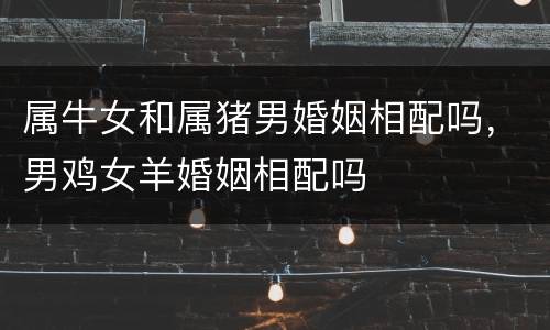 属牛女和属猪男婚姻相配吗，男鸡女羊婚姻相配吗