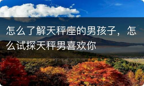 怎么了解天秤座的男孩子，怎么试探天秤男喜欢你