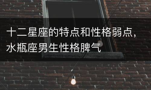 十二星座的特点和性格弱点，水瓶座男生性格脾气