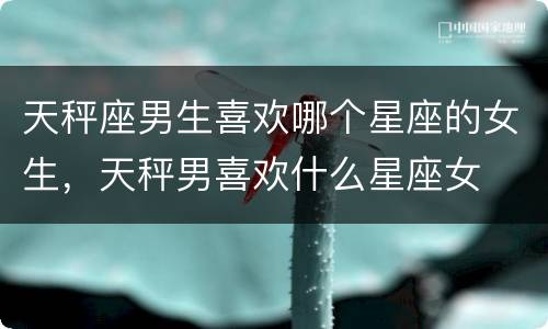 天秤座男生喜欢哪个星座的女生，天秤男喜欢什么星座女