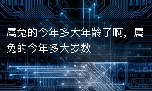 属兔的今年多大年龄了啊，属兔的今年多大岁数