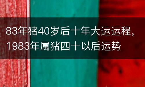 83年猪40岁后十年大运运程，1983年属猪四十以后运势