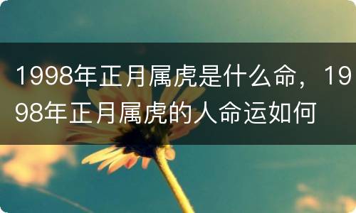 1998年正月属虎是什么命，1998年正月属虎的人命运如何