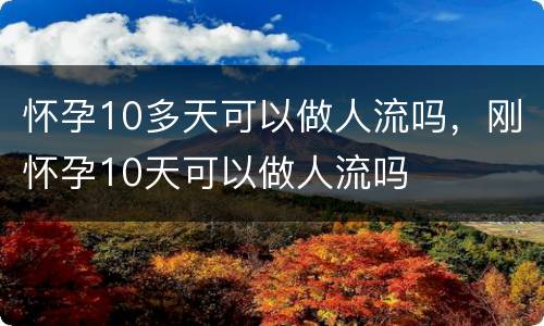 怀孕10多天可以做人流吗，刚怀孕10天可以做人流吗