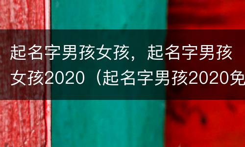 起名字男孩女孩，起名字男孩女孩2020（起名字男孩2020免费起名字女孩）