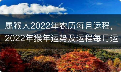属猴人2022年农历每月运程，2022年猴年运势及运程每月运程
