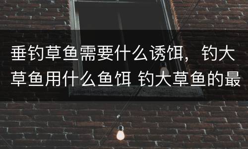 垂钓草鱼需要什么诱饵，钓大草鱼用什么鱼饵 钓大草鱼的最好饵料
