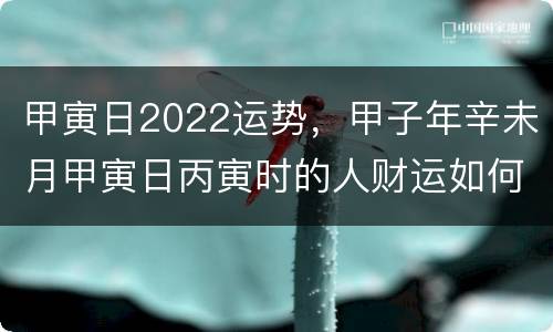 甲寅日2022运势，甲子年辛未月甲寅日丙寅时的人财运如何