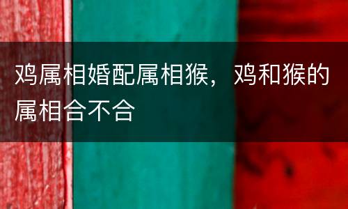 鸡属相婚配属相猴，鸡和猴的属相合不合