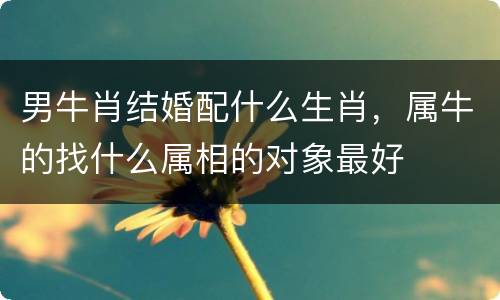 男牛肖结婚配什么生肖，属牛的找什么属相的对象最好