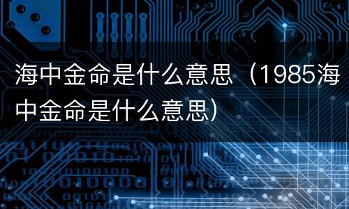 海中金命是什么意思（1985海中金命是什么意思）