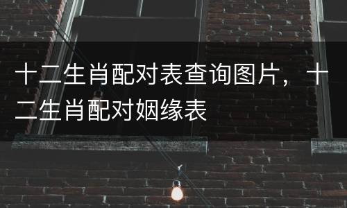 十二生肖配对表查询图片，十二生肖配对姻缘表
