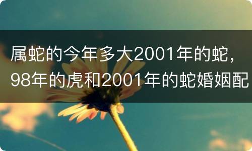 属蛇的今年多大2001年的蛇，98年的虎和2001年的蛇婚姻配吗