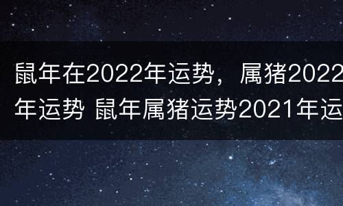 鼠年在2022年运势，属猪2022年运势 鼠年属猪运势2021年运势