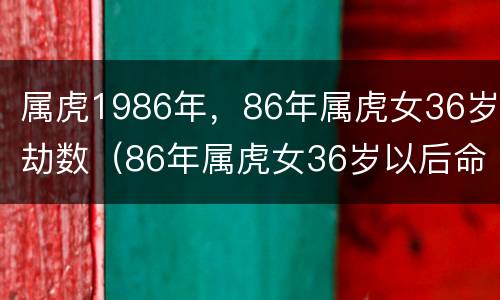 属虎1986年，86年属虎女36岁劫数（86年属虎女36岁以后命运）