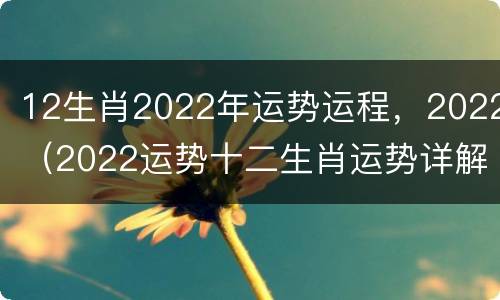 12生肖2022年运势运程，2022（2022运势十二生肖运势详解）