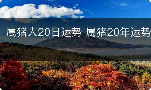 属猪人20日运势 属猪20年运势