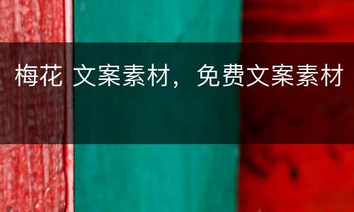 梅花 文案素材，免费文案素材